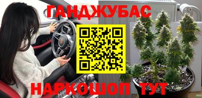 тгк Гусев